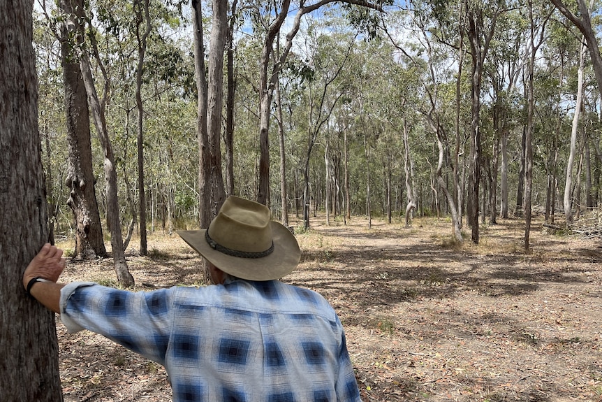 A man stands leaning against a tree looking out into bushland