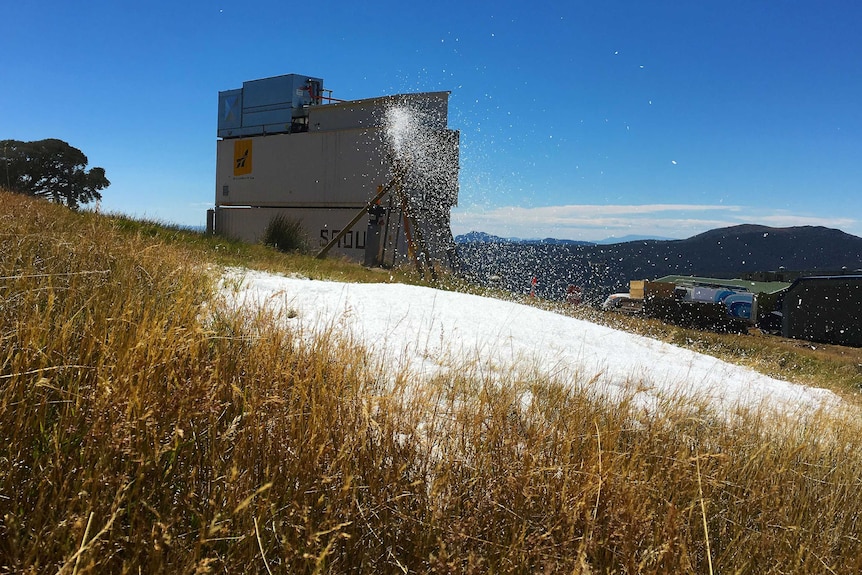 Fresh snow lies on a patch of grass on a bright blue sky day.