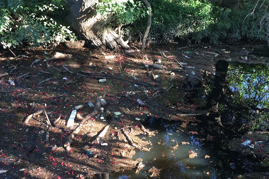 More needs to be done to keep rubbish from Brisbane's creeks and streams.