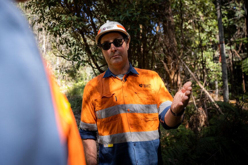 A man in hi-vis gear and a hard hat stands and talks to someone in a forest.