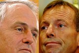 Composite pic of Malcolm Turnbull and Tony Abbott. November 27, 2009