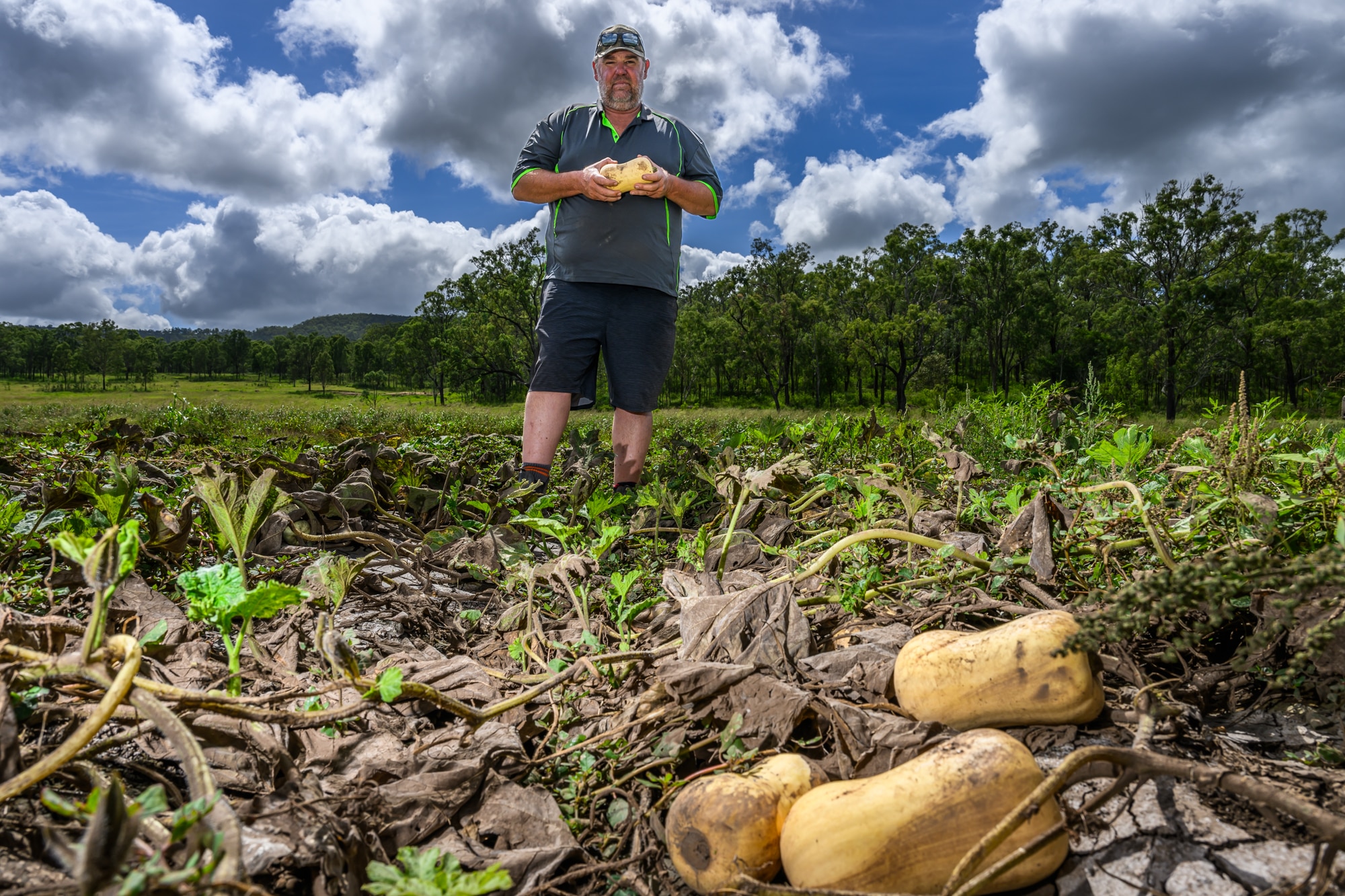 Shannon Moss standing in a paddock of pumpkins that was flooded. 