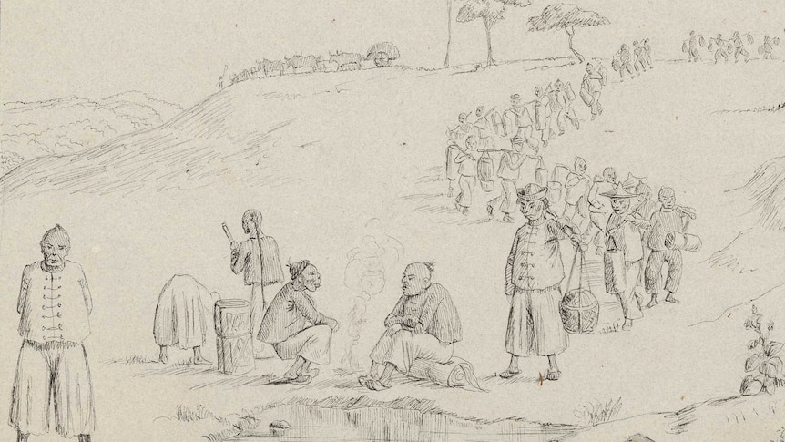 A pencil drawing by Charles Lyall shows Chinese miners in 1854.