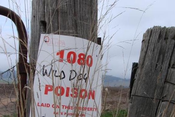 A close-up of a 1080 wild dog baiting sign on a wooden fence post.