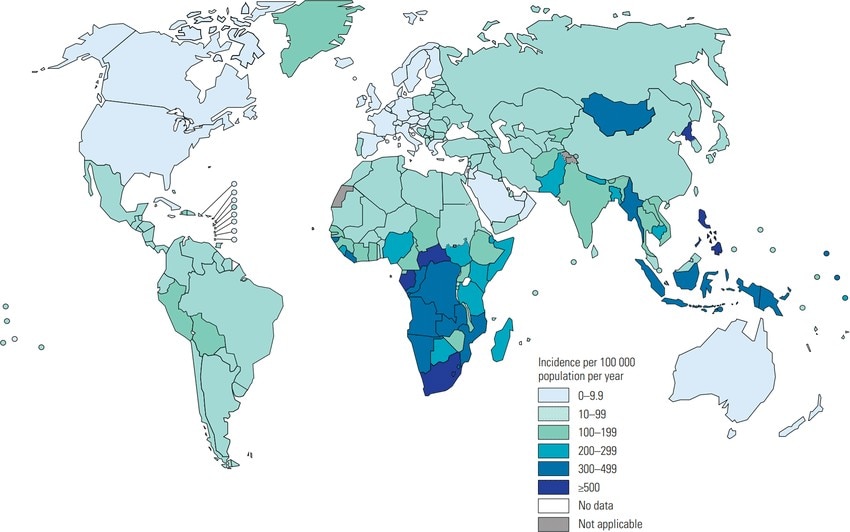 A colour-coded world map of the TB incidence rate recorded in each country in 2019.