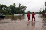 Emergency workers wade through floodwaters in Roma