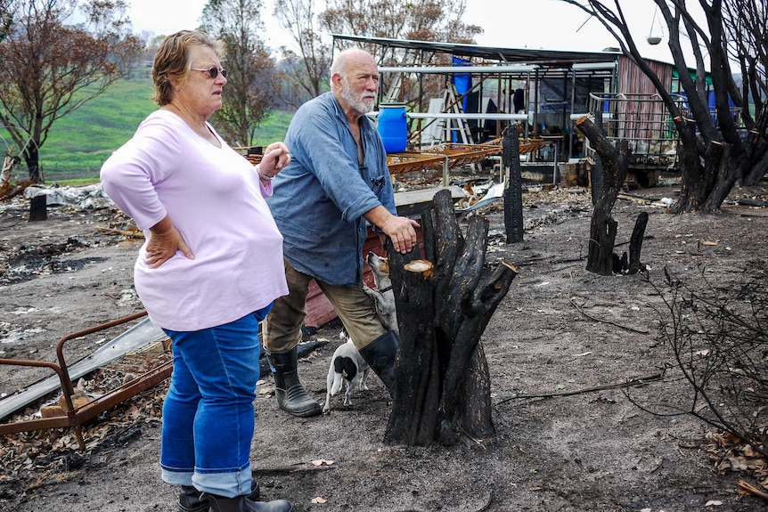 Wayne and Christine Marmont look out over their charred property, with wreckage and blackened tree stumps around them.