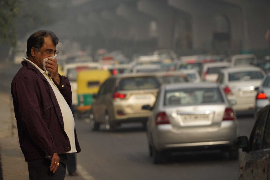 New Delhi cuts cars to combat pollution