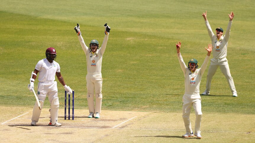 Australia fielders Alex Carey, Marnus Labuschagne and Steve Smith put their hands up. West Indies batter Kyle Mayers looks on.
