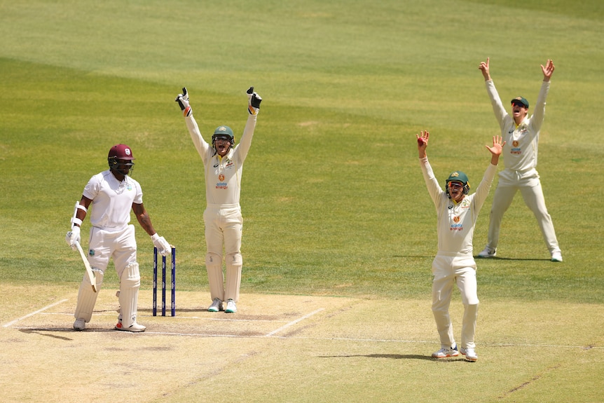 Australia fielders Alex Carey, Marnus Labuschagne and Steve Smith put their hands up. West Indies batter Kyle Mayers looks on.