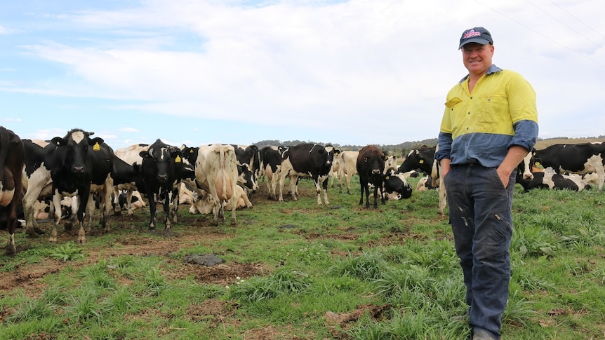 Dairy farmer Paul Weir with his cows.