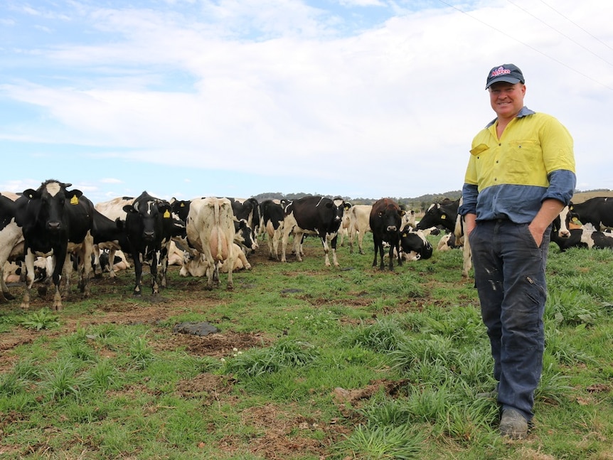 Dairy farmer Paul Weir with his cows.