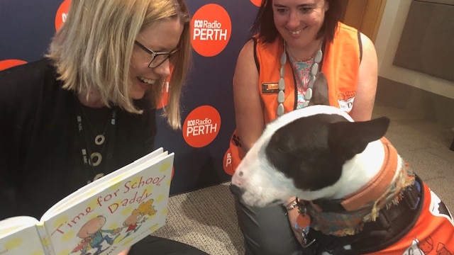 Story dogs can help children relax and improve reading skills