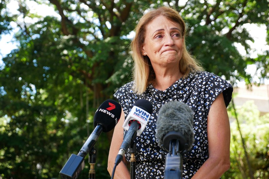 Former Townsville mayor Jenny Hill stands in front of microphones at a press conference