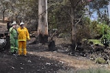 Firefighters observe bushfire damage.