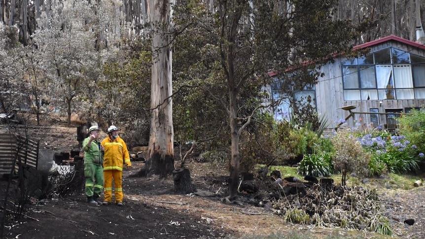 Firefighters observe bushfire damage.