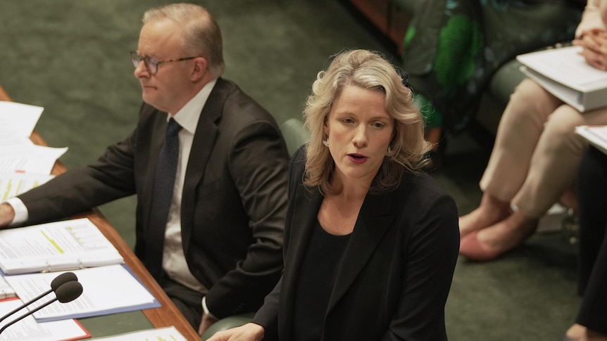 O'Neil stands at the despatch box, Anthony Albanese sitting behind her.