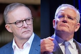 A composite image of Anthony Albanese and Scott Morrison