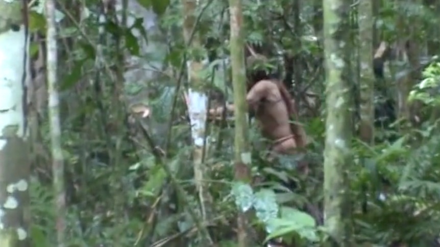 A man axing a tree in a Brazilian jungle