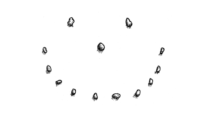 Illustration of sprouting seeds growing in a smiley face shape.