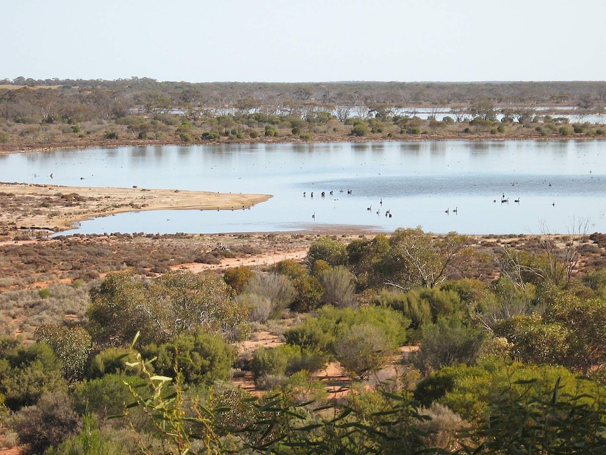 Many streams and rivers are supported by the availability of groundwater.