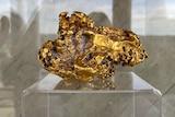 a shiny gold nugget in a glass case.