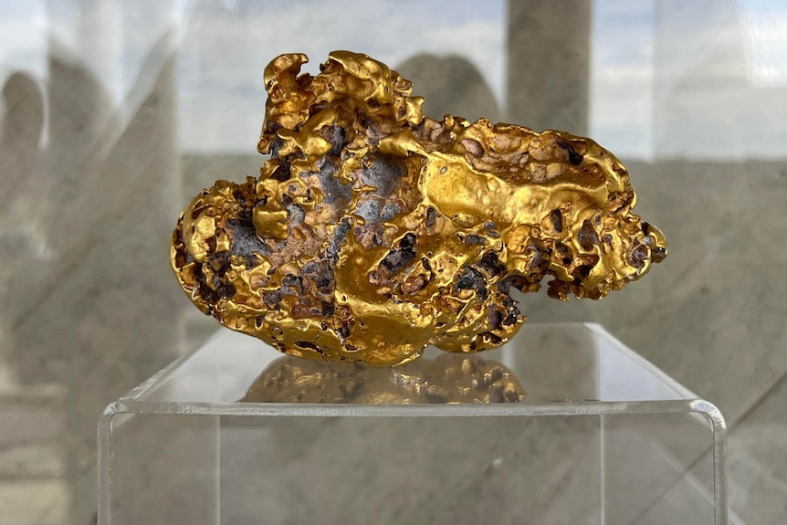 a shiny gold nugget in a glass case.