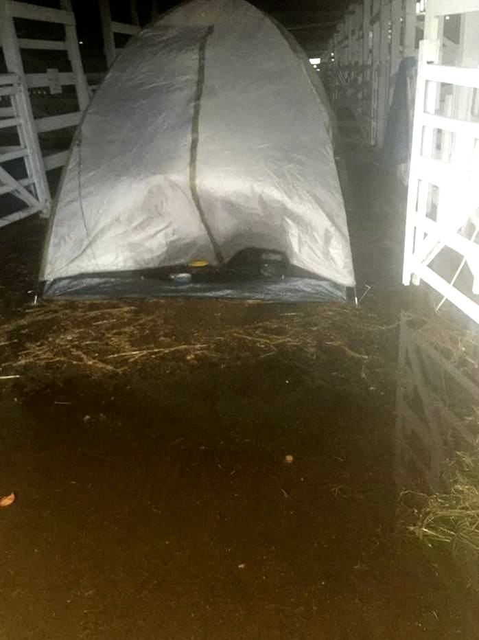 Homeless tent in the showground stables