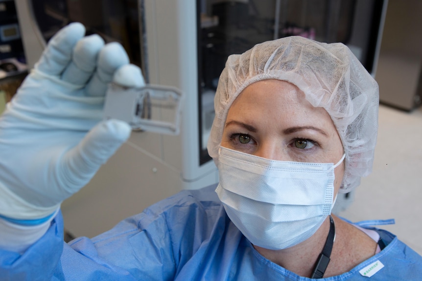 A woman wearing blue personal protective equipment looks at a grey slide in a laboratory