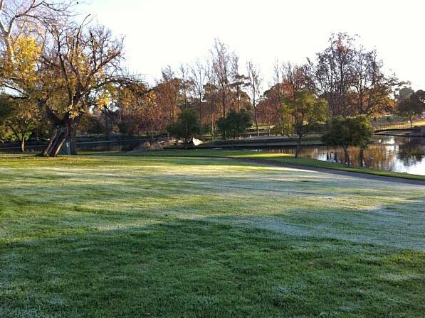 Frosty morning in the Adelaide parklands
