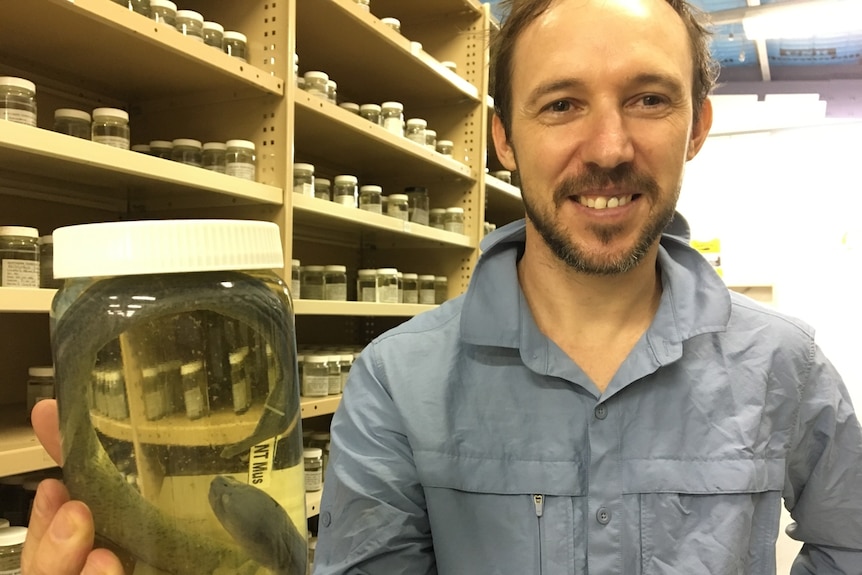 Dr Michael Hammer with eel specimen