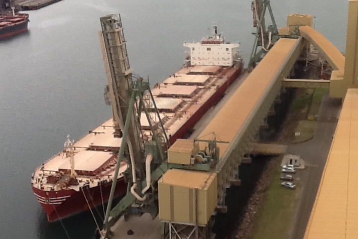Grain ship, Port Kembla
