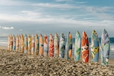 Brightly coloured surfboards placed on sand along One Mile beach, Forster.