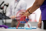 A person's hands picking a numbered blue ball out of a red plastic bingo barrel.