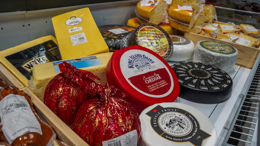 Specialty cheese display, Australian cheeses