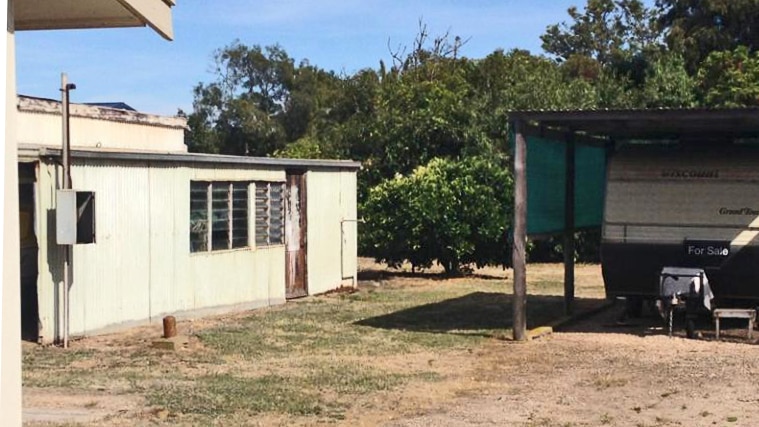 Backyard grave