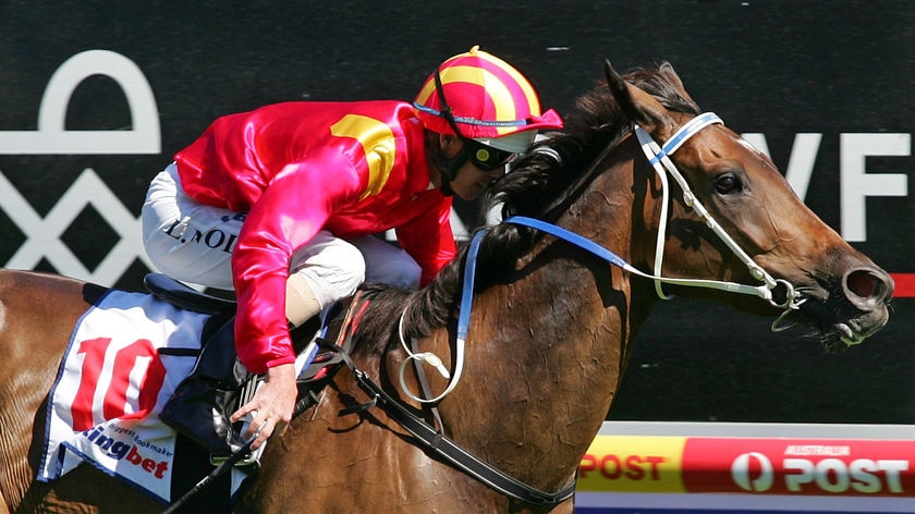Typhoon Tracy will skip the Cox Plate to focus on mares' races (file photo)