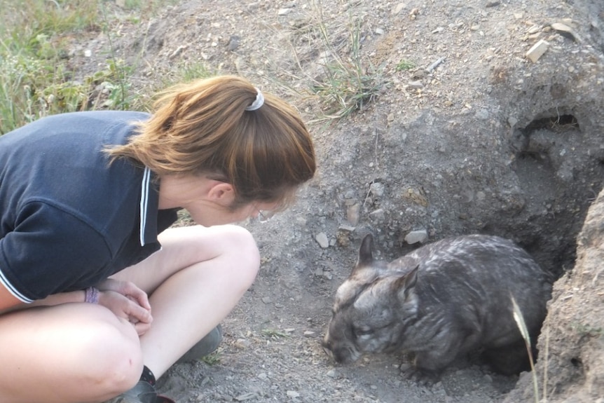 alyce swinbourne with wombat