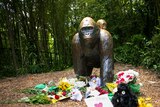 Flowers at the foot of a gorilla statue