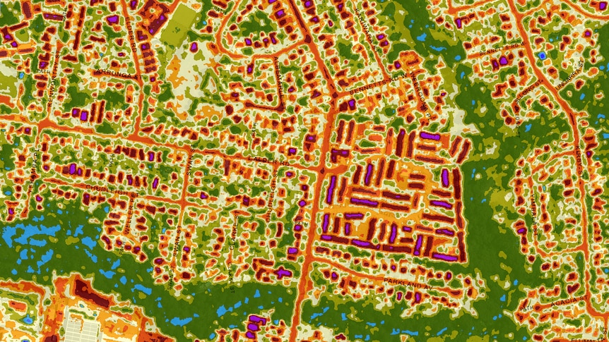 The belt of trees is significantly cooler than the built-up area. (Supplied: Parramatta Heat Map)