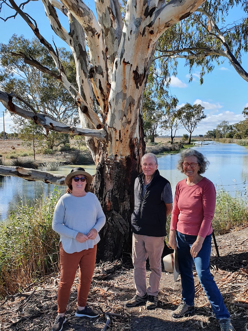 A man stands between two men in front of a tree on a riverbank. it is sunny.