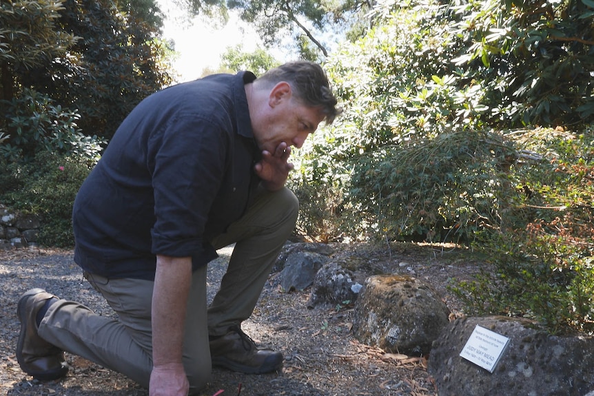 A man leans down to read a small plaque on a rock in lush garden setting.
