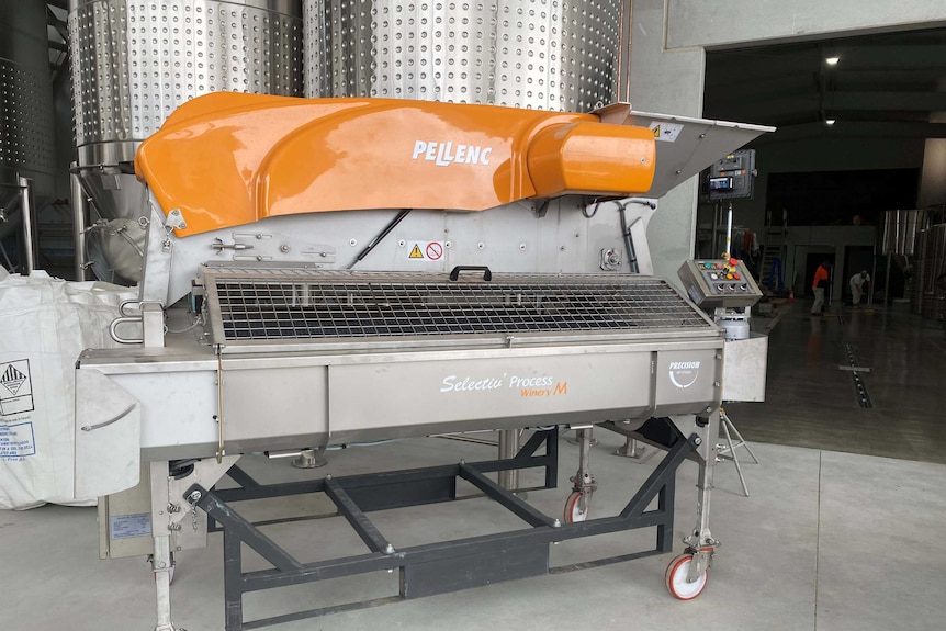 Grape sorter at Riversdale Estate.