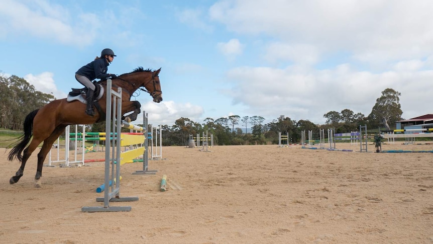 Sarah Clark and Roxy clear a 1.5 metre high jump in training.