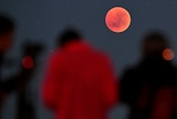 People looking at a blood red moon during a lunar eclipse