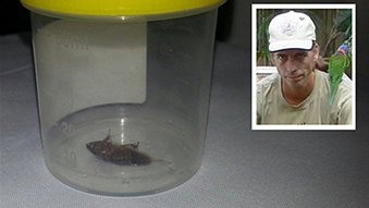 Cockroach removed from man's ear in horror night