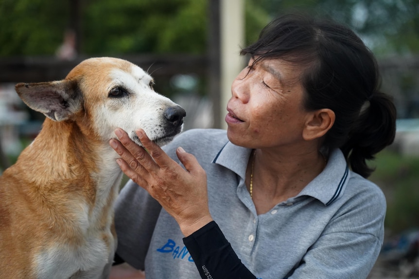 An older woman wearing a grey polo gazes lovingly at a pale brown dog with white face, gently holding a hand to its snout