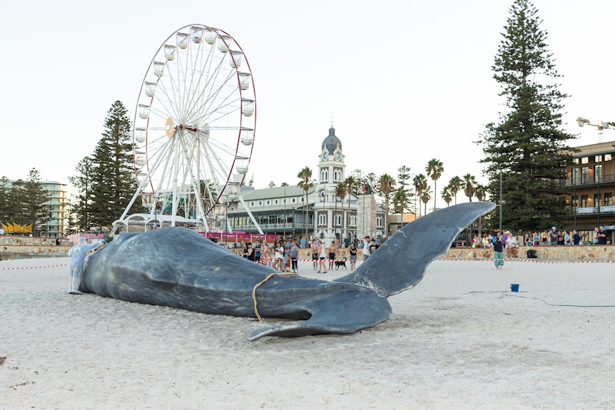 People on the beach looking at a large whale. In the background a ferris wheel