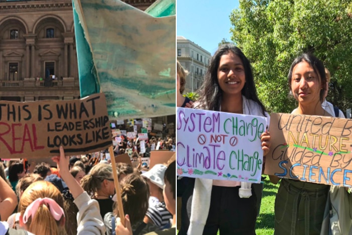 Signs at the March 15 2019 climate strike