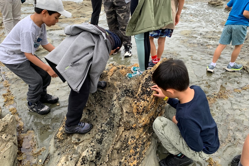 a group of children look at a rock formation that looks like a tree stump.